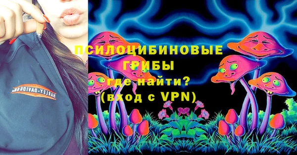 mdpv Вяземский